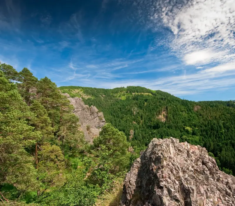 Traumhafte Aussichten - Wandern im Schwarzwald